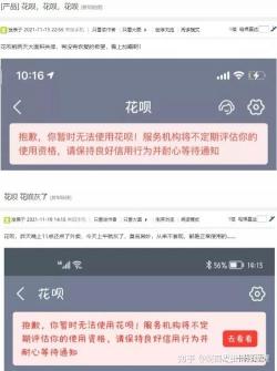 花呗启动品牌隔离：中小额消费信贷服务的变革与用户体验提升