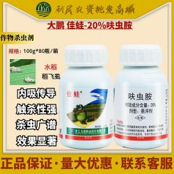 有效消灭白粉虱：观察、喷药、使用杀虫剂和胶带