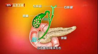 199偏高警示：胰腺炎、胆囊炎或糖尿病的潜在信号