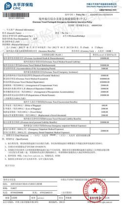 太平洋车险报价明细表：如何根据个人需求选择合适的保险计划