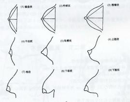 防止胸部下垂的五大秘诀：保持年轻挺拔的乳房