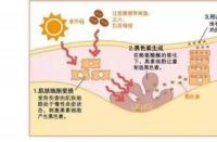 皮肤色斑成因解析：从遗传到生活习惯全方位了解