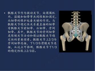 髂关节知识科普：了解双侧骶髂关节，守护腰部健康