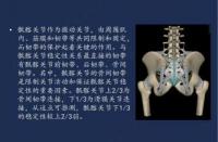 髂关节知识科普：了解双侧骶髂关节，守护腰部健康