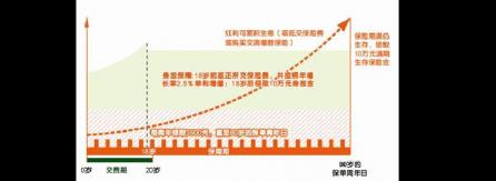 平安鑫利少儿保险：全方位保障，为孩子创造美好未来