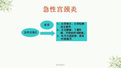 子宫附件炎五大症状解析：如何识别并应对附件炎的警示信号？