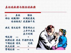 婴幼儿神经系统体格检查：全面了解宝宝健康的关键步骤