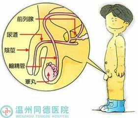 早泄调理小窍门：简单易行的解决方法，重拾性福生活