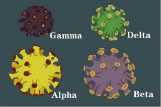 新型冠状病毒变异毒株德尔塔：认识它，防范它