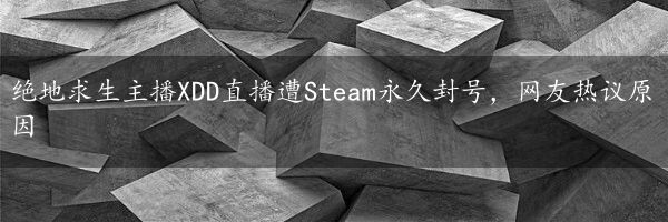 绝地求生主播XDD直播遭Steam永久封号，网友热议原因