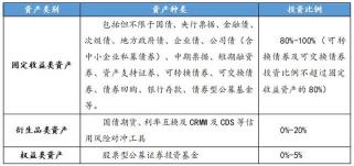 净值型理财产品：投资策略与风险分析