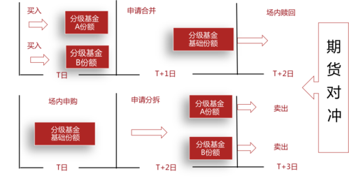 基金分红详解：意义、方式与如何选择合适的策略