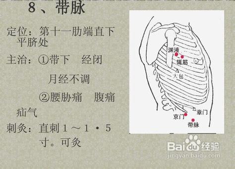 胆经经络图详解：准确位置与敲法指南，轻松养生瘦身