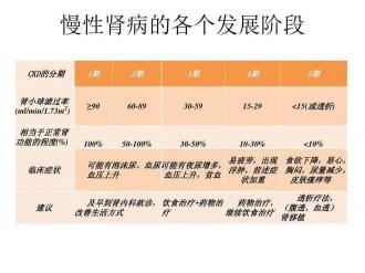 慢性肾衰治疗全攻略：了解治疗方法，守护肾脏健康