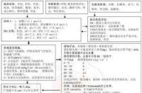 利拉鲁肽：糖尿病治疗新选择，非胰岛素类药物如何助力血糖控制？