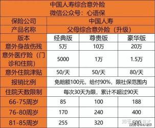 中国人寿意外险产品概览：多种保障，满足不同需求