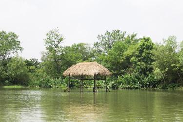 西溪湿地博物馆：探索湿地之美与科学之魅的宝库