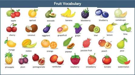 fruit可数还是不可数：详解水果名词的计数规则与用法