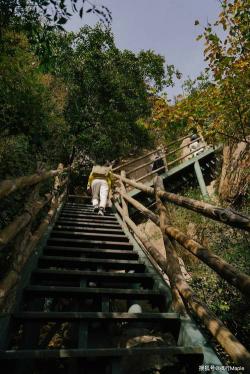 秋日登高，爬山养生正当时