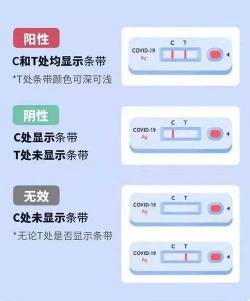 抗原检测如何判断阳性：C、T杠显色解读指南