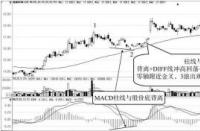 MACD指标使用技巧：解读市场动能与趋势