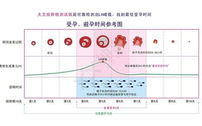 安全期计算：是利器还是双刃剑？