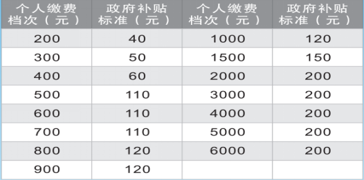 养老保险怎么交？不同人群的缴纳指南