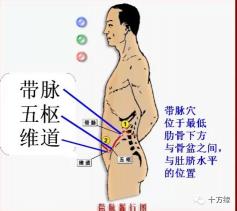 敲打带脉：调经止带、健脾利湿的神奇养生法