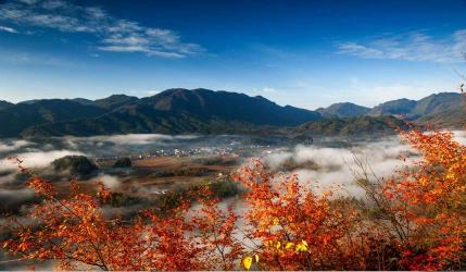 青岛华青旅行社：传承旅游文化，打造美好旅程