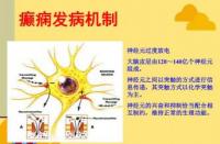 小儿癫痫的诊断：准确区分与个性化治疗的关键