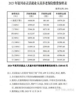 畅行无忧两全保险：全面的意外伤害保障与灵活的缴费方式