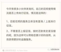 征信太花但没有逾期：贷款选项与注意事项