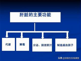 转氨酶高就一定是肝炎吗？解密转氨酶与肝炎的真相