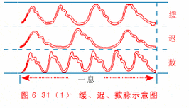 滑脉现象：解读中医脉诊中的独特信号