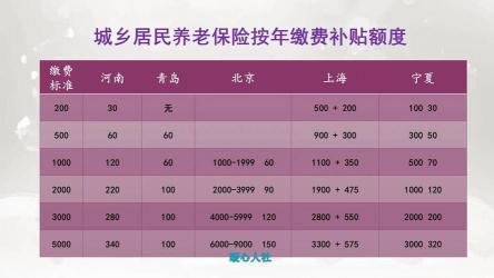 新农保网上缴费方法：多种途径，轻松缴纳