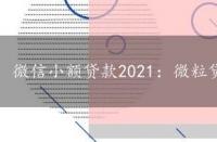 微信小额贷款2021：微粒贷与WE2000的详细解析