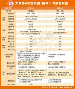 大黄蜂2号：儿童定期重疾险的性价比之选