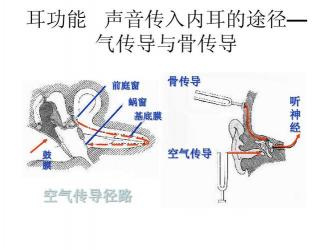 神经专科：医学领域的璀璨明珠