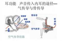 神经专科：医学领域的璀璨明珠