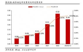 中国保险公司概览：从国有巨头到股份制翘楚的全面解析