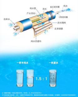 纯水和净水的区别：深度解析制作工序、价格、营养、功能与纯净度