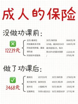 选择理赔口碑好的保险公司：重疾险的性价比与投保指南