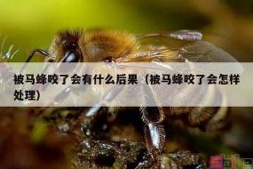 蜜蜂蛰消肿的最快方法：冲洗、冰敷与药物使用全攻略