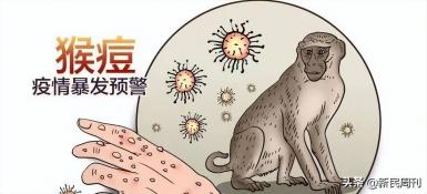 为什么猴痘只感染男性？猴痘病毒传播与防治的重要性