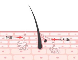 皮肤发痒能治疗吗？专家揭秘治愈之道，助你摆脱瘙痒困扰