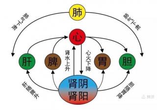 三焦是身体哪个部位？一文带你了解人体三焦及其保健之道