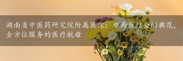 湖南省中医药研究院附属医院：中西医结合的典范，全方位服务的医疗航母