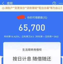 支付宝借款：多种途径满足你的资金需求