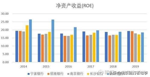 ROE指标：投资者评估公司盈利能力的关键指标