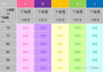 内衣ABC罩杯大小解析：如何选择合适的内衣尺码与罩杯换算